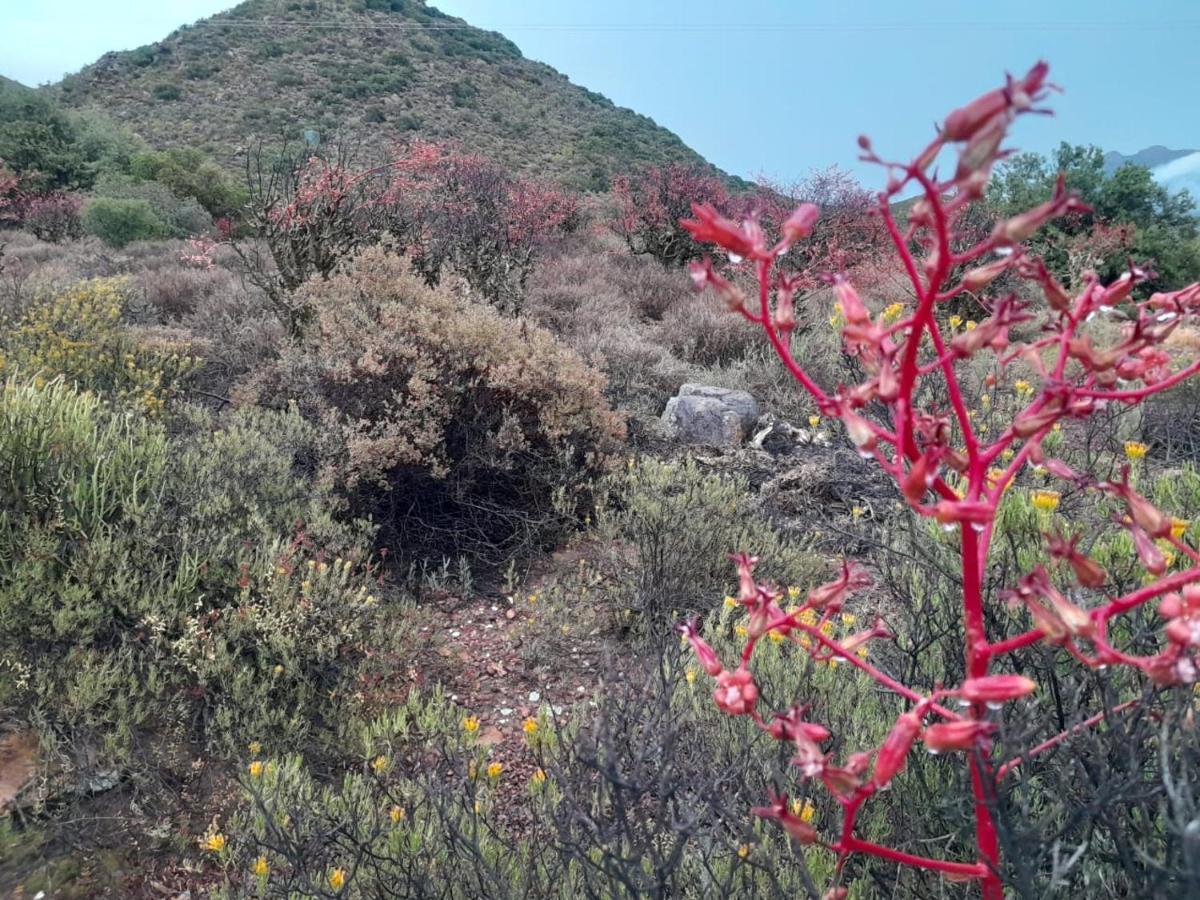 Exhale Cottage Montagu Εξωτερικό φωτογραφία